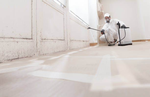24/7 Emergency Mold Remediation experts in Sanford, NC