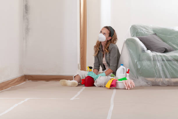 Reliable Mold Remediation contractor in Sanford, NC by Cheap Mold Removal