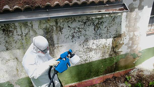 Top rated local Mold Remediation specialists in Sanford, NC